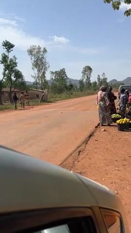 The video shows an outdoor scene with a group of people gathered near a road in what appears to be a rural area. In the first scene, women stand by the roadside near buckets filled with what looks like mangoes. There is a dirt road and sparse vegetation. In the next scene, several yellow and orange containers are placed near a wooden table under a tree. The scene shifts to a group of people sitting and standing under a tree, some on yellow containers, with more trees and open land visible in the background.  There are children among the people. The overall environment suggests a community gathering or market setting.