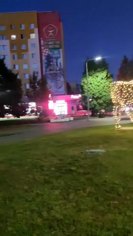 The video shows an outdoor scene at dusk or night. In the foreground, there is a grassy area. In the middle ground, there is a large, illuminated sculpture of a bison made of white or yellow lights. Behind the bison sculpture, there is a street with a lamppost and trees. Further in the background, there is a building with windows and a large mural on its side. A pink illuminated structure, possibly a shop or kiosk, is visible in front of the building. The sky is dark blue, indicating it is nighttime.