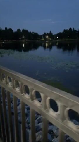 The video begins with a view of a lake at dusk, with a metal railing in the foreground. The camera then pans to the left, revealing a sidewalk with a lamppost and trees. The scene is peaceful and quiet, with the sounds of nature in the background.