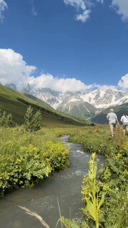 Ushguli afternoon: stream paths, a dog, and glacier views