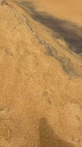 The video begins with a close-up shot of a sandy beach, the sand a light golden color with streaks of dark sand. The perspective then shifts to a first-person view looking down at the feet of a person walking on the beach. The person is wearing dark shorts and their bare feet are visible as they step into the wet sand near the water's edge. The water appears dark and reflects the sky. The person's shadow is also visible on the sand. The camera continues to follow the person's feet as they walk, with footprints being left in the sand. The scene is entirely focused on the ground and the act of walking on the beach.