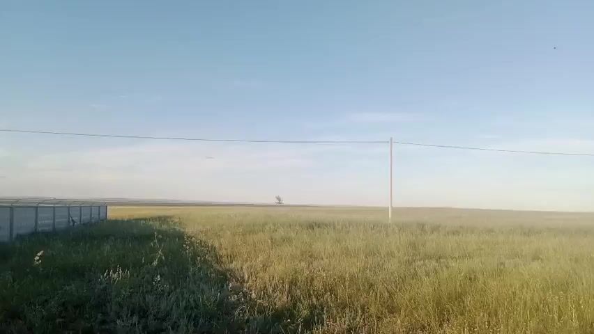 This media file shows an outdoor scene with a vast, grassy field under a clear blue sky. The time of day appears to be late afternoon or early evening, as indicated by the soft, warm lighting and long shadows cast across the field. The weather is pleasant, with a clear sky and no visible clouds, suggesting a calm and serene atmosphere.

The scene is characterized by a simple, rural landscape. In the foreground, tall, green grass dominates the view, with some dry, lighter-colored blades interspersed. A thin, dark line, likely a wire, stretches horizontally across the frame, supported by thin, vertical poles that are spaced out in the distance. To the left of the frame, a portion of a light-colored fence is visible, suggesting a boundary or the edge of property. In the far distance, a single, silhouetted tree stands against the horizon, and a long, light-colored fence stretches across the middle ground. The overall impression is one of open space and tranquility.

No people are visible in the media file. The activity taking place is not explicitly shown, but the static nature of the camera suggests a focus on capturing the landscape itself. The location cues, such as the vast grasslands and the specific type of fencing, might point to a rural or agricultural area. The overall mood conveyed is peaceful and calm, evoking a sense of natural beauty and open expansiveness. There is no visible text in the media file.