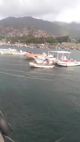 This video captures a scene at a pier in Naiguatá, Venezuela. The time appears to be daytime, with overcast skies suggesting possibly cloudy or rainy weather. The setting is a concrete pier extending into the water, with several small fishing boats moored nearby. In the background, a hillside town is visible, with houses clustered on the slopes, indicating a coastal community.

The primary activity involves several children and young people interacting with a large inner tube and ropes near the edge of the pier. One young girl in a swimsuit is being pulled out of the water by another girl who is crouched on the pier, holding onto the inner tube. A third young person, a boy, stands nearby watching. Another young girl in a bikini is on the pier, and further back, a boy in shorts stands observing. The overall mood seems playful and energetic, with the children enjoying an activity in the water.

Notable details include the presence of large tires used as fenders or for recreation along the pier. The water appears murky, and the concrete structure shows signs of wear. The clothing suggests a warm climate, likely a beach or waterfront recreational area. There is no visible text in the video.