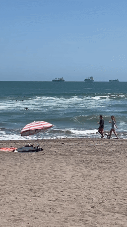 Sunny beach day captured by witnesses in Arica, Chile