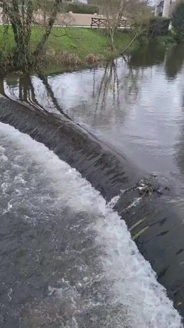 The video shows a wide river with a small artificial dam made of what looks like gray concrete. Water cascades down the dam, creating white foam. In the background, there's a grassy bank with trees, and beyond that, a building. The reflection of the trees is visible in the calm water above the dam. Someone's voice can be heard speaking in the background.