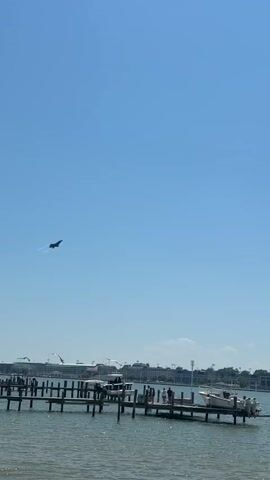 The video shows a fighter jet flying across a clear blue sky, emitting a contrail as it ascends. The perspective is from ground level, near a waterfront.  A pier with several boats docked is visible in the foreground, and a city skyline with a prominent dome-shaped building can be seen in the distance. People are visible on the pier, but they appear small and indistinct. The weather appears to be sunny.