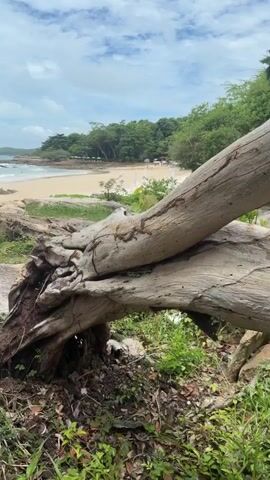 The video shows a view of a beach with the ocean in the background. In the foreground, there are large rocks and driftwood. The beach is sandy with some rocks. There are trees and foliage behind the beach. The sky is partly cloudy. There are a few people visible in the water, swimming or wading. There are also some white structures, possibly umbrellas or beach chairs, on the sand. The overall scene depicts a tropical or semi-tropical beach setting.