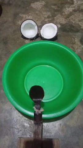 The video shows two halves of a coconut positioned at the top of the frame. Below the coconut halves, a bright green plastic bowl is prominently displayed. Inside the bowl, a coconut grater with a black, serrated blade attached to a wooden handle is resting. The grater is positioned horizontally within the bowl, with its blade facing upwards. The entire setup is placed on a textured, possibly concrete or tiled, surface. The lighting suggests an indoor setting, possibly in the evening or under artificial light, as there are noticeable shadows. The context provided places this scene in Gampong Blang, Indonesia, suggesting a domestic or culinary preparation setting. The image is static and shows no discernible activity or people. The focus is on the preparation tools and the raw ingredients for coconut processing.