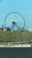 Navy Pier Ferris wheel documented in Chicago park setting