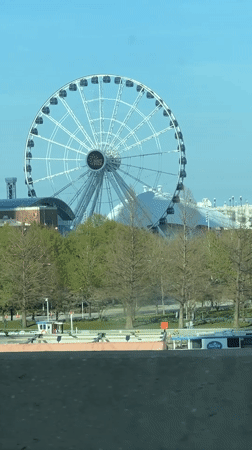 Navy Pier Ferris wheel documented in Chicago park setting