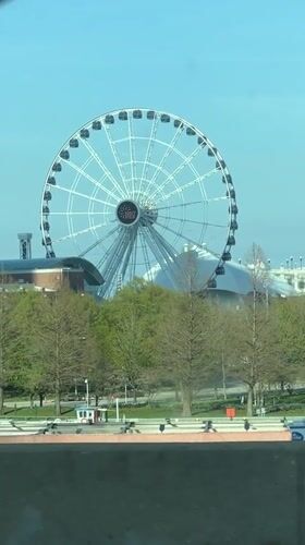 Navy Pier Ferris wheel documented in Chicago park setting