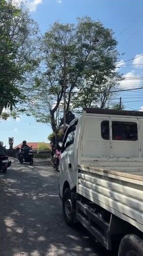 Early morning traffic observed in Denpasar with parked truck