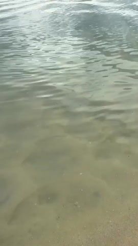 The video opens with a close-up of shallow, rippling water on a sandy beach. As the camera pans up and to the left, the ocean stretches out to the horizon, with waves gently breaking on the shore. In the distance, a few parasails can be seen against a cloudy sky. Several small, green islands are visible scattered across the water. The sky is overcast with a mixture of light and dark clouds. The overall mood is serene and peaceful.