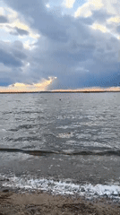 Windy afternoon at Zhdanovichi lake, sailboats on choppy water