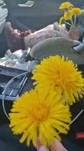 Toddler collects wildflowers during family outing in Russian woods