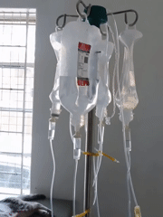 Cat receives IV treatment at veterinary facility in Nairobi