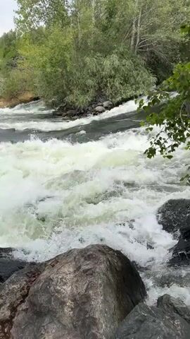A fast-flowing river with whitewater rapids moves through a rocky, tree-lined landscape. The camera is positioned low, near large rocks in the foreground, looking upstream at the turbulent water. Green trees and foliage line the riverbanks, and a slightly overcast sky is visible through the branches. There are no people or man-made objects visible in the frame.
