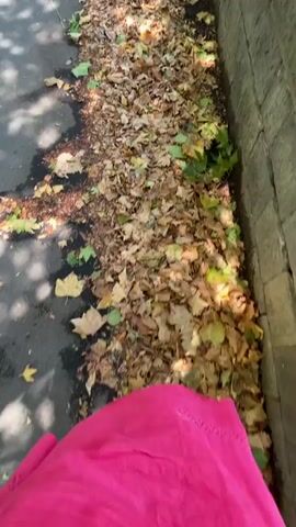 A person wearing a bright pink dress and black sandals walks along a paved path covered in fallen leaves. The path is bordered by a low stone wall on the right. Sunlight filters through the leaves, creating dappled shadows on the ground. The video is shot from a high angle, looking down at the person's legs and feet as they walk.