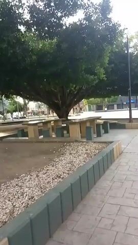 The video pans across an outdoor area with a large tree providing shade over picnic tables and benches. A paved walkway runs along the edge of the area, bordered by a low wall. In the background, there are buildings and more trees. A few people are visible walking in the distance. The ground is a mixture of dirt and gravel.