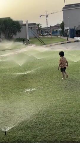 A young child is running and walking through a field of sprinklers on a lawn. The child is wearing a patterned shirt and dark shorts.  The sprinklers are evenly spaced across the green lawn.  In the background there are several buildings, a crane, and a few trees. The sky is bright and hazy, possibly indicating early morning or late afternoon.