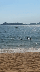 Evening beach vacation scenes documented across Acapulco resort area