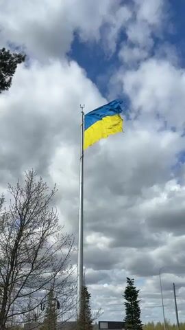 The video shows the flag of Ukraine, which is blue and yellow, waving in the wind against a cloudy sky. The flag is attached to a tall, silver flagpole. In the foreground, there are some trees with bare branches. The sky is a mix of blue and white clouds, with some darker, more ominous-looking clouds as well. There is a small building visible in the distance, as well as a streetlight. The overall impression is that of a windy day.