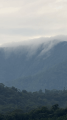 Mixed landscapes documented in Huế showing fire damage, misty mountains