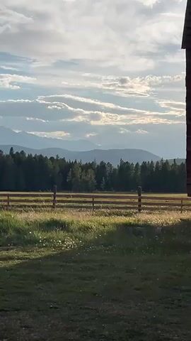 A video clip shows a rustic scene with a barn on the right edge, a wooden fence in the middle ground, and a forest with mountains in the background. The sky is partly cloudy with sunlight filtering through. The foreground consists of grass and some weeds.