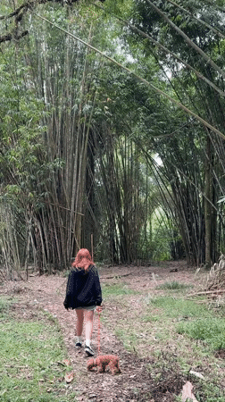 Woman and poodle explore Baturiti bamboo forest by foot and cart