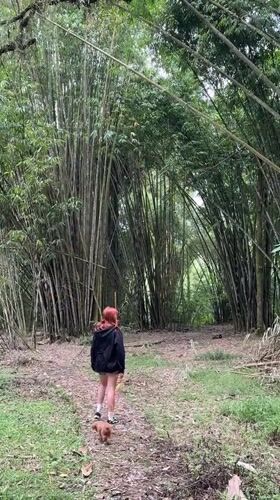 Woman and poodle explore Baturiti bamboo forest by foot and cart