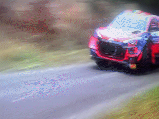 Rally cars blast through a dusty forest stage in Azerbaijan