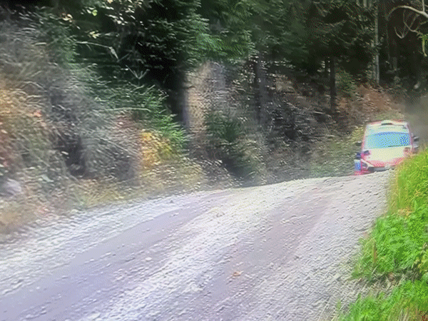 Rally cars blast through a dusty forest stage in Azerbaijan