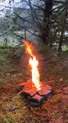 Camper roasts marshmallows over forest fire in Welsh woodland