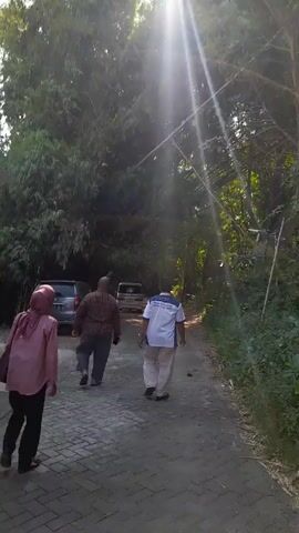 Four people are walking down a brick road, away from the camera. The person closest to the camera is wearing a pink shirt, black pants, and a headscarf and carrying a purse. Two cars are parked on the left side of the road. The road is bordered by trees on either side, and the sun is shining brightly through the trees.