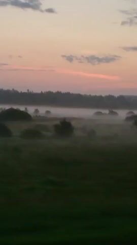 The video captures a rural landscape at dawn or dusk. A gentle mist hovers over a field, partially obscuring low-lying vegetation and trees. In the distance, a dense line of trees forms the horizon, silhouetted against a sky painted with soft hues of pink and pale blue. A few wispy clouds drift across the sky. The foreground consists of a dark green field, blurred by motion, suggesting the video was recorded from a moving vehicle. No people or specific objects are clearly identifiable beyond the natural elements.