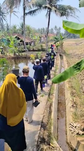 A group of people are walking in a line along a narrow path next to a water channel. In the foreground, a person wearing a yellow hijab and a dark garment is walking away from the camera. Behind them, a line of people, mostly wearing dark clothing and caps, are also walking in the same direction. Many of them are carrying small potted plants. The path is made of concrete and runs alongside a body of water on the left and a dry field on the right. Palm trees and other vegetation are visible in the background, along with several houses. The weather appears to be sunny.