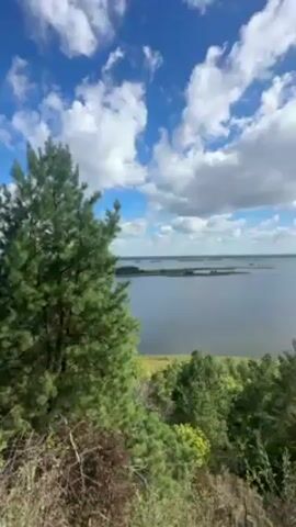 The video captures a scenic view of a large body of water, likely a lake or wide river, under a partly cloudy sky. The water is calm, reflecting the sky, and the horizon is dotted with distant land or islands. In the foreground, a variety of green trees and vegetation occupy the viewer's perspective, suggesting a hilltop or elevated vantage point. The sky is bright blue, with fluffy white clouds scattered across it. No people or animals are visible in the video. The overall impression is of a natural, tranquil landscape.