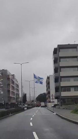The video shows a street in a city on a cloudy day. The street is lined with modern apartment buildings and streetlights. A flag with a blue and white design is blowing in the wind in the middle of the street. There are a few cars and a white van on the road. Some of the streetlights have star-shaped decorations on them, possibly for Christmas. The road is wet, suggesting that it has recently rained.