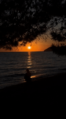 Sunset moments captured with dog in Šušanj, Montenegro