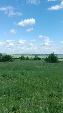 The video captures a panoramic view of a vast, green meadow under a bright blue sky dotted with fluffy white clouds. The camera pans slowly across the landscape, revealing rolling hills in the distance. Several trees are scattered throughout the meadow, adding texture and depth to the scene. A faint trail can be seen winding through the grass. The overall impression is one of natural beauty and tranquility, with the open space and clear sky evoking a sense of freedom and peace.