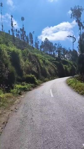 The video shows a paved road curving upwards on the left, with a grassy hillside. On the right side of the road, there are trees and a lamppost. The sky is blue with some clouds. There are no people or vehicles visible in the video. The scene appears to be a rural or mountainous area.
