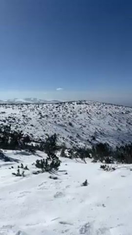 The video shows a snowy mountain landscape under a clear blue sky. There are small, dark green pine trees scattered across the snow-covered ground. The camera pans slowly to the right, revealing a distant valley or plain below, partly obscured by haze. Another mountain range is visible in the far distance.