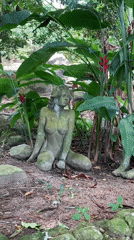 Morning documentation of statues, nature, daily life in Ko Samui