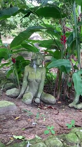 Morning documentation of statues, nature, daily life in Ko Samui