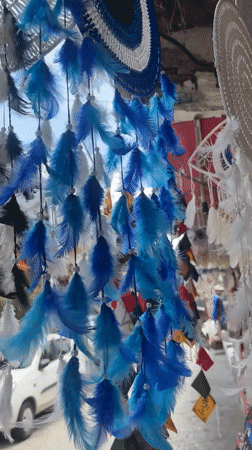 Street life and market goods in Vashisht on a July morning