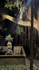 Nighttime Balinese shrine with moss documented in Mengwi