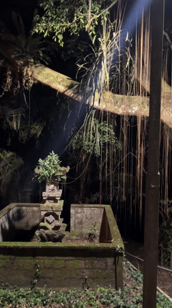 Nighttime Balinese shrine with moss documented in Mengwi