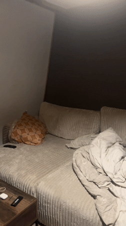 Cat plays on tower during evening interaction in Wattrelos