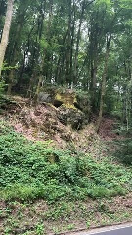 This is a vertical video of a forest with a large moss-covered rock formation on a slope in the center of the frame. The rock has a dark opening or crevice. The forest is dense with tall trees and green foliage covers the ground and the slope. The video shows slight camera movement, appearing to be a slow pan or steady shot.