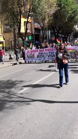 A group of people are marching in a street, carrying a banner that reads "ALIANZA MULTISECTORIAL POR LA PAZ DE BOLIVIA". A woman in the foreground is holding a microphone and appears to be speaking. A dog wearing a pink vest is walking alongside the marchers. The street is paved and lined with trees and buildings. The weather appears to be sunny.